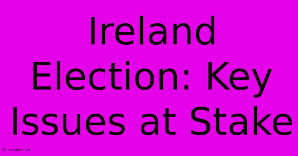 Ireland Election: Key Issues At Stake