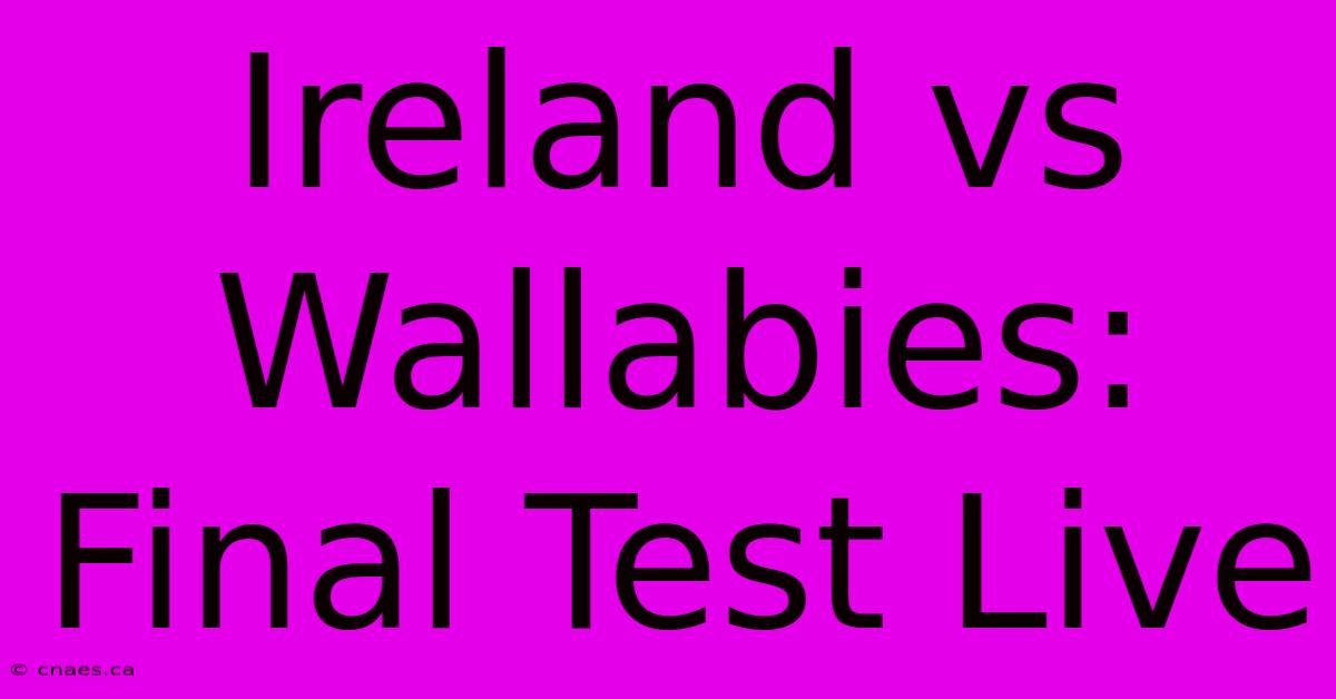 Ireland Vs Wallabies: Final Test Live