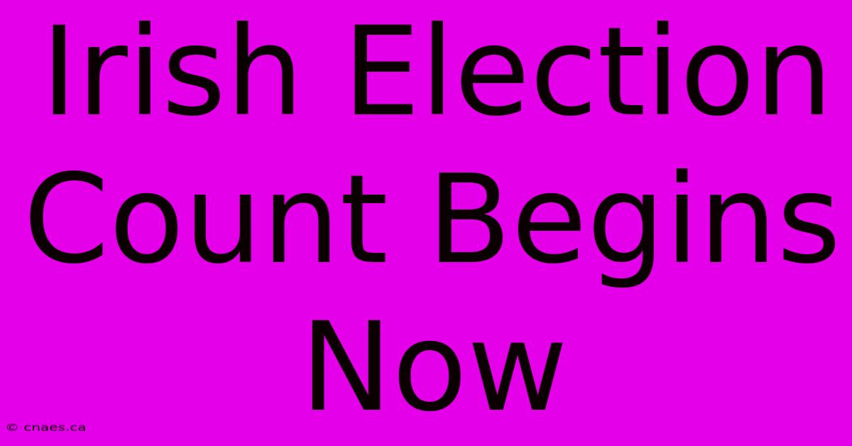 Irish Election Count Begins Now