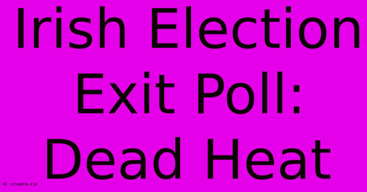 Irish Election Exit Poll: Dead Heat