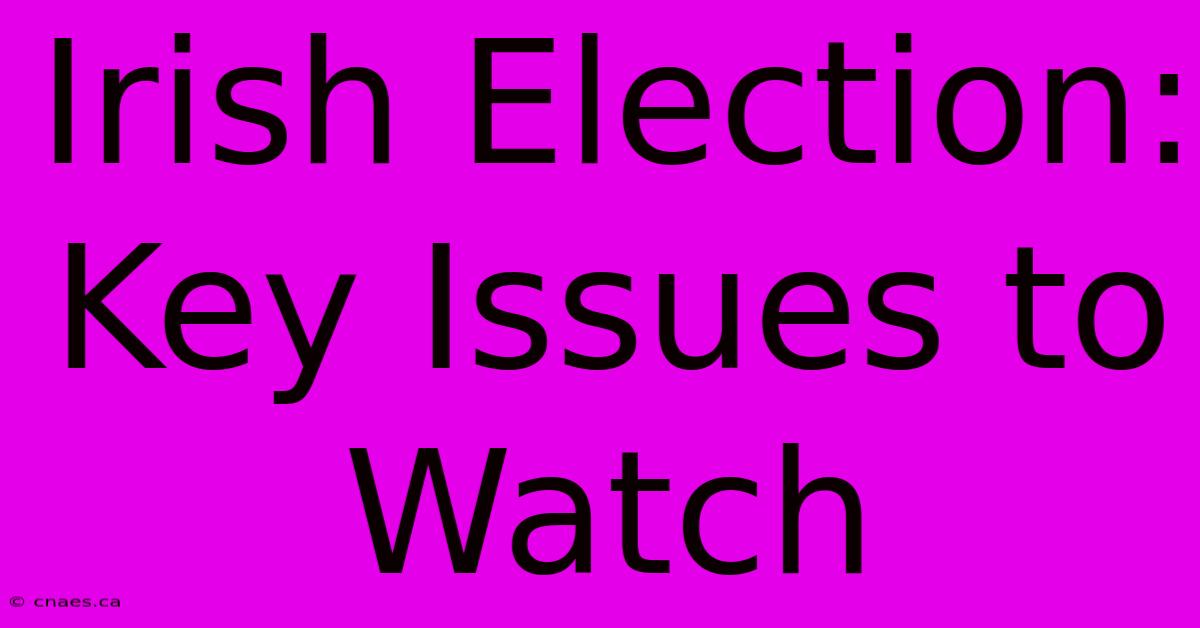 Irish Election: Key Issues To Watch