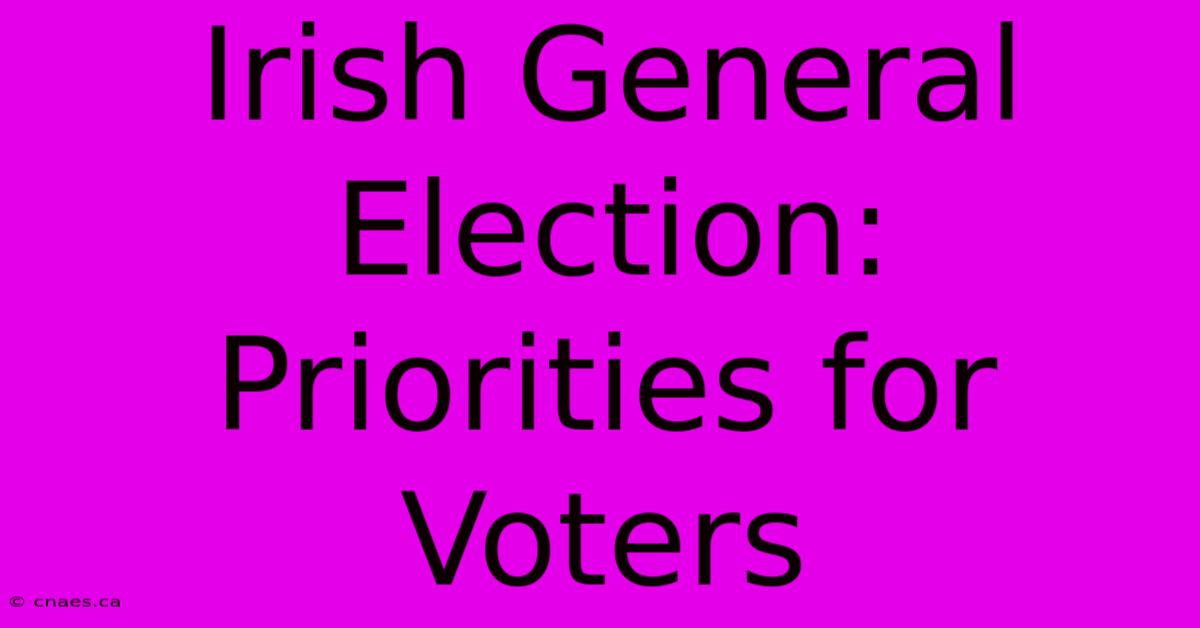 Irish General Election: Priorities For Voters 