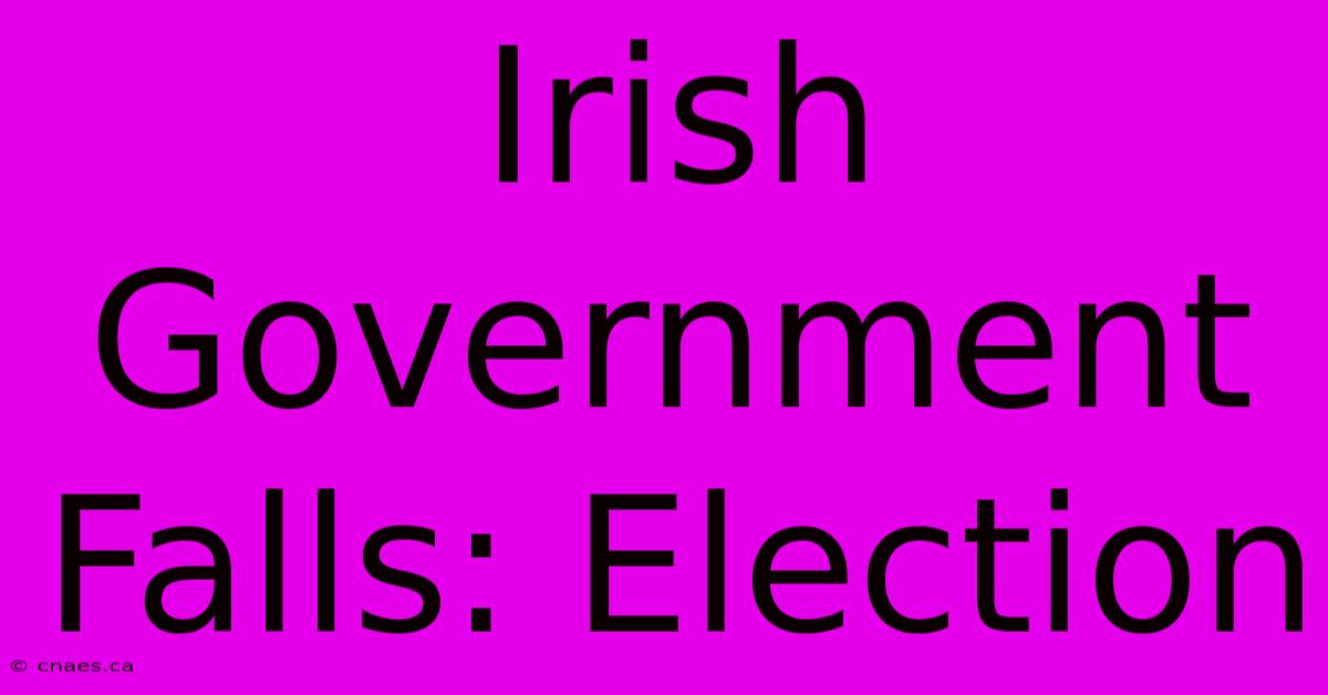 Irish Government Falls: Election