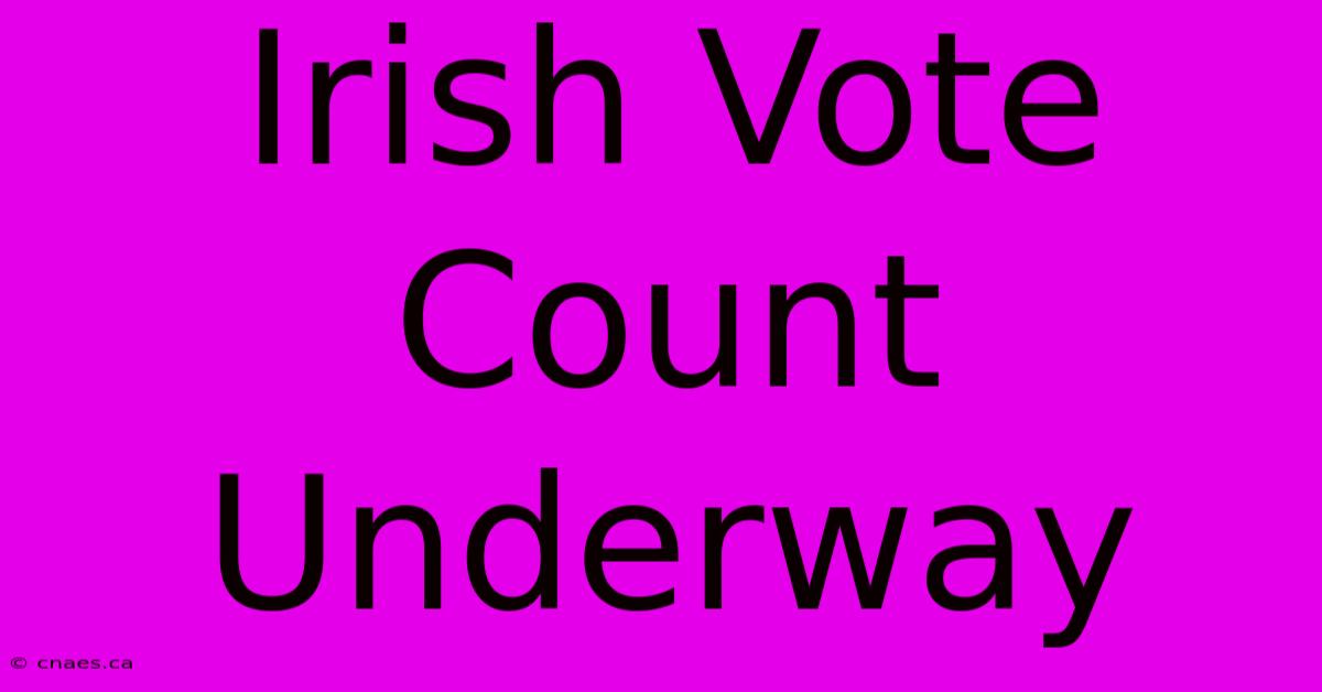 Irish Vote Count Underway