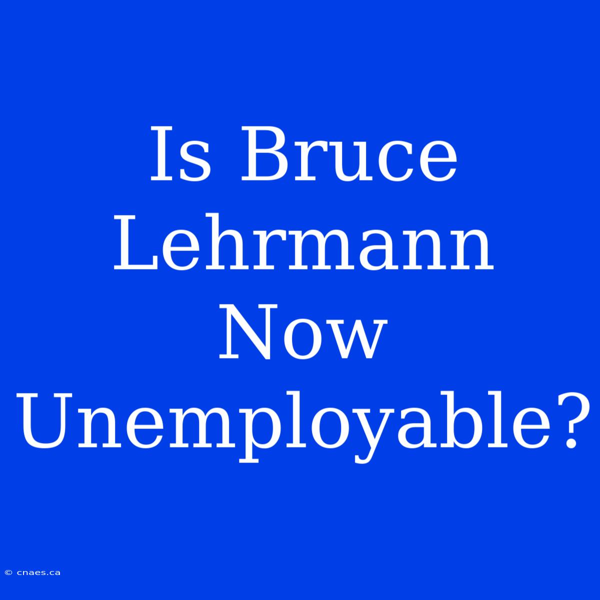 Is Bruce Lehrmann Now Unemployable?