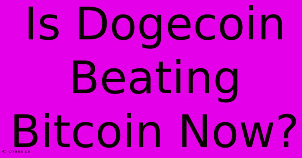 Is Dogecoin Beating Bitcoin Now?