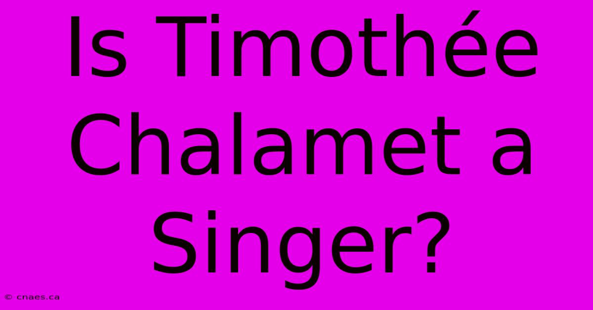 Is Timothée Chalamet A Singer?