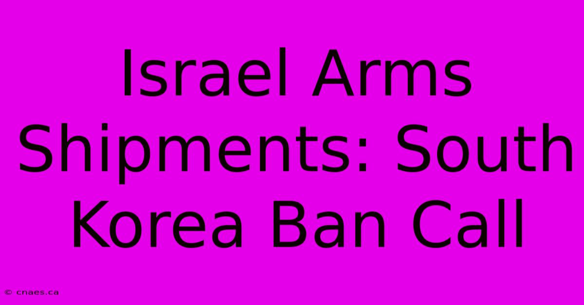 Israel Arms Shipments: South Korea Ban Call