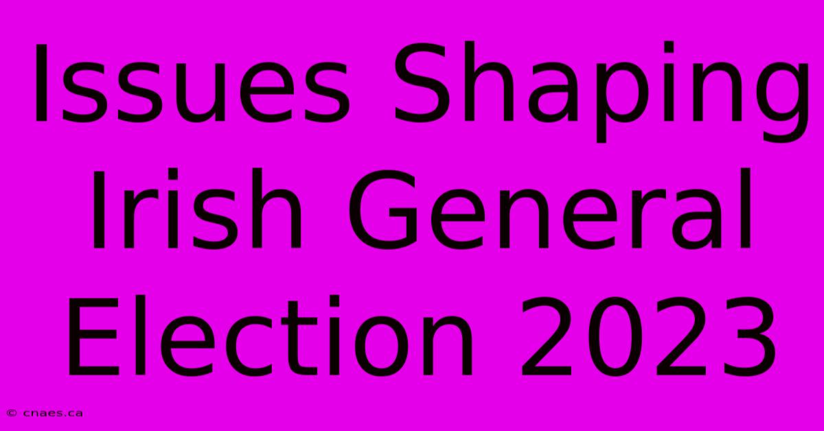 Issues Shaping Irish General Election 2023