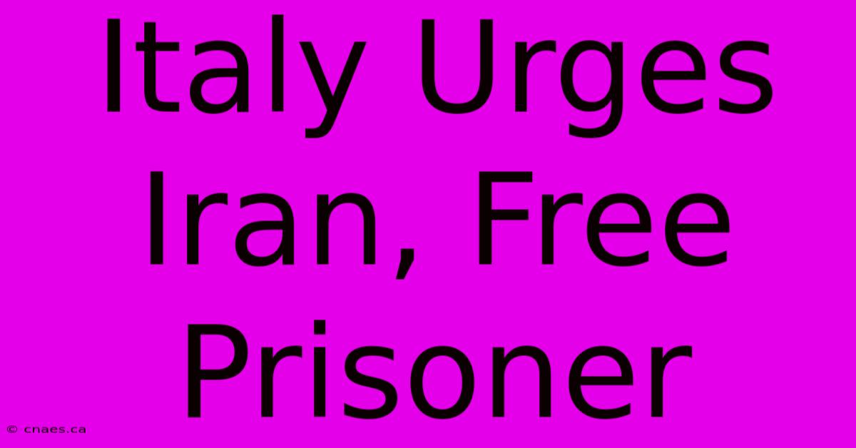 Italy Urges Iran, Free Prisoner