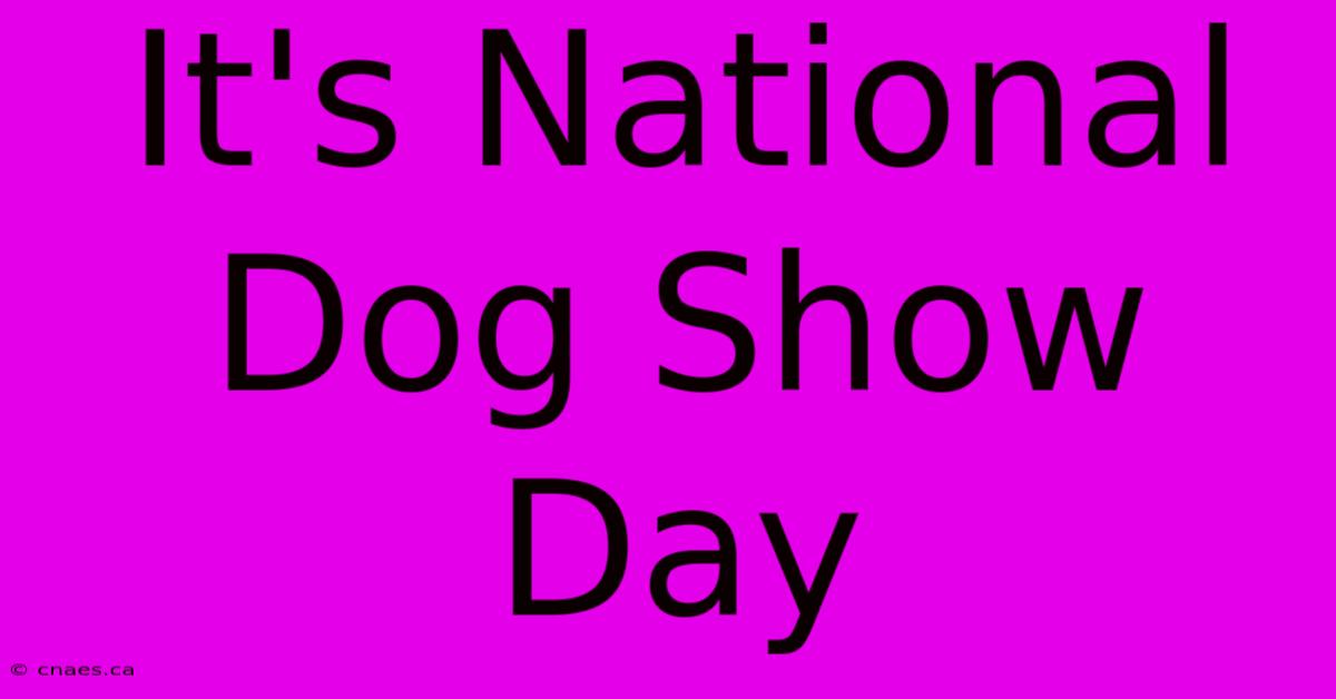 It's National Dog Show Day