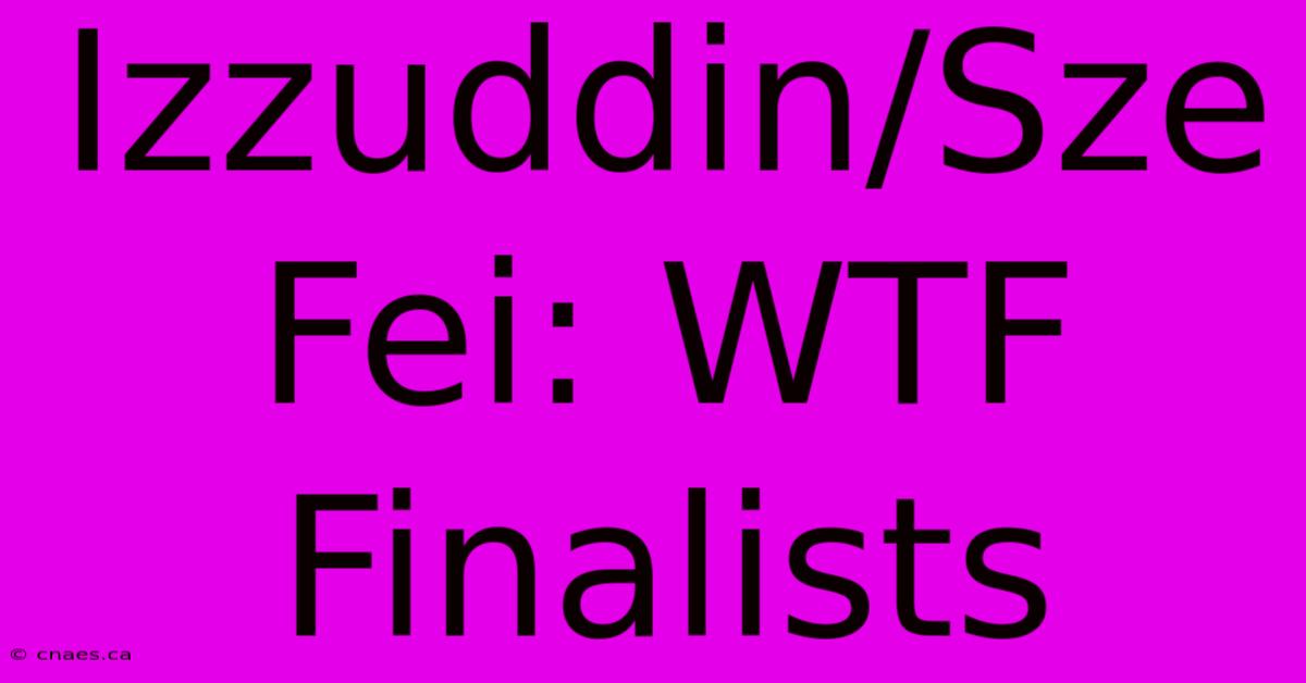 Izzuddin/Sze Fei: WTF Finalists