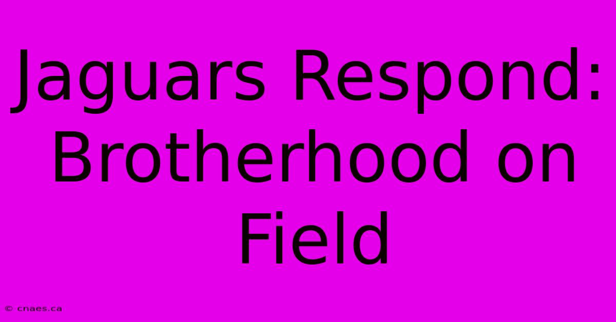 Jaguars Respond: Brotherhood On Field