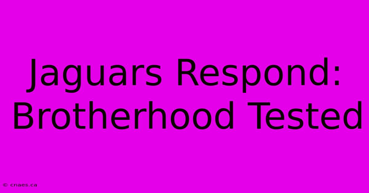 Jaguars Respond: Brotherhood Tested