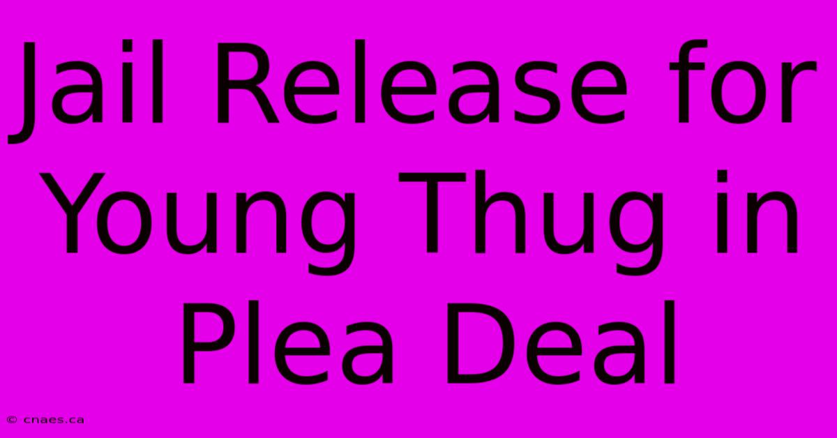 Jail Release For Young Thug In Plea Deal