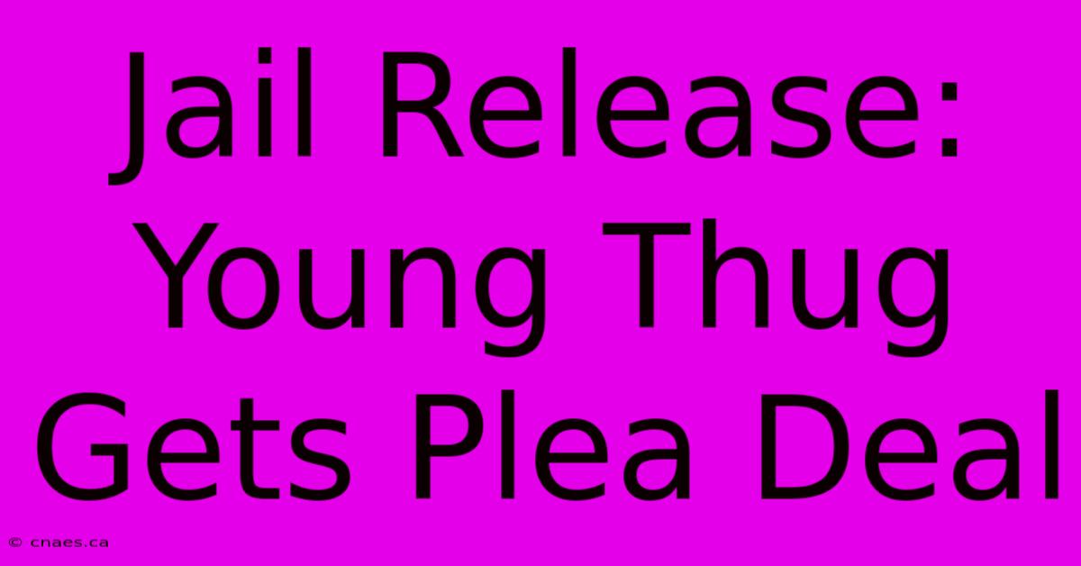 Jail Release: Young Thug Gets Plea Deal 