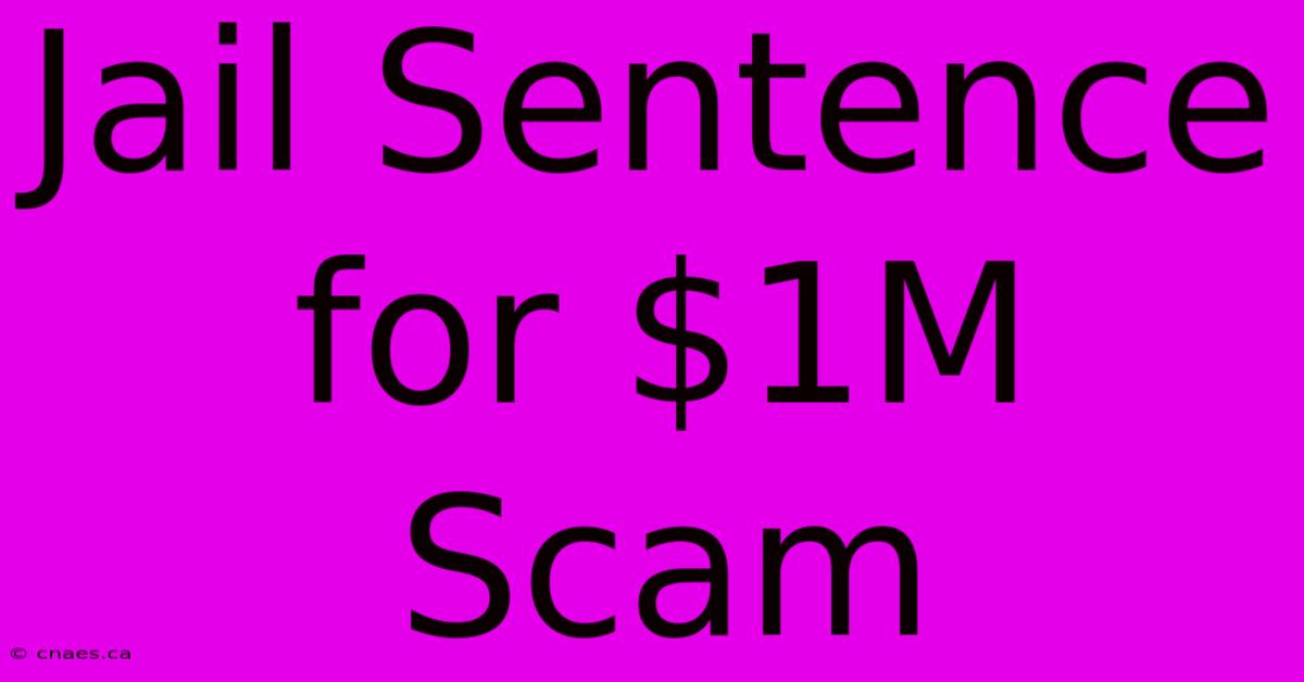 Jail Sentence For $1M Scam 