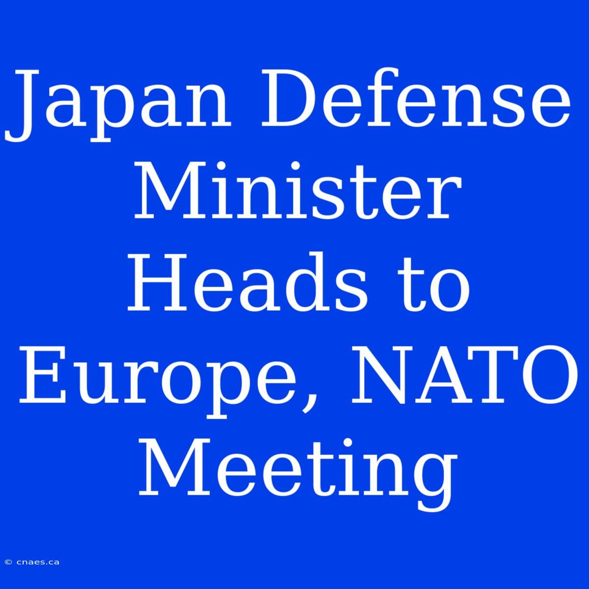 Japan Defense Minister Heads To Europe, NATO Meeting