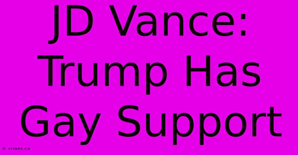 JD Vance: Trump Has Gay Support