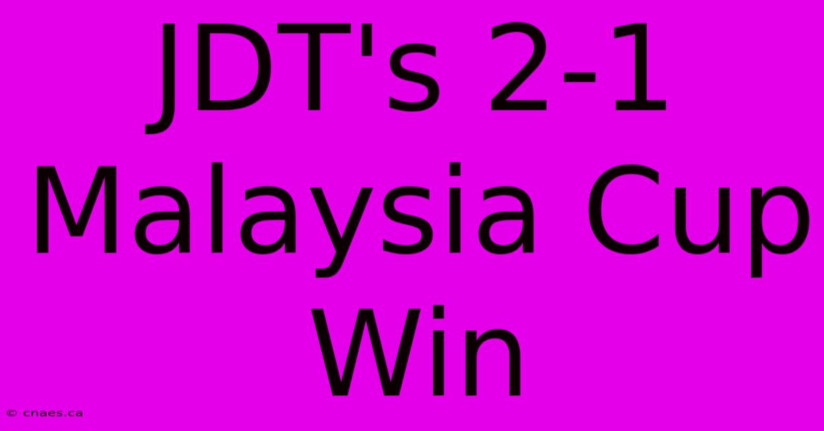 JDT's 2-1 Malaysia Cup Win