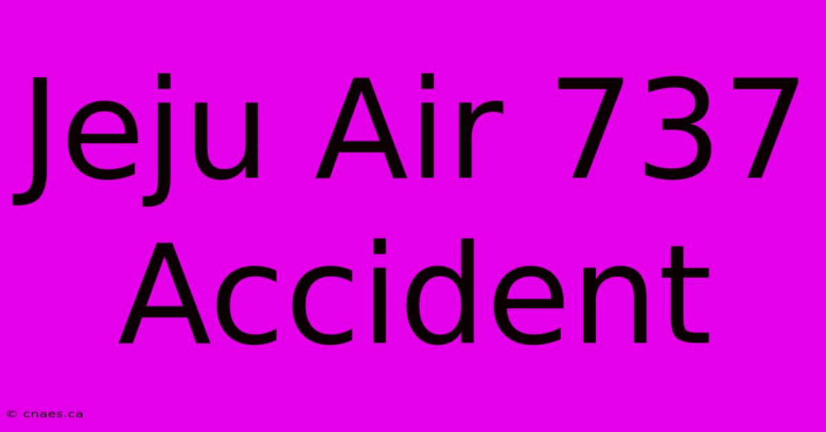 Jeju Air 737 Accident