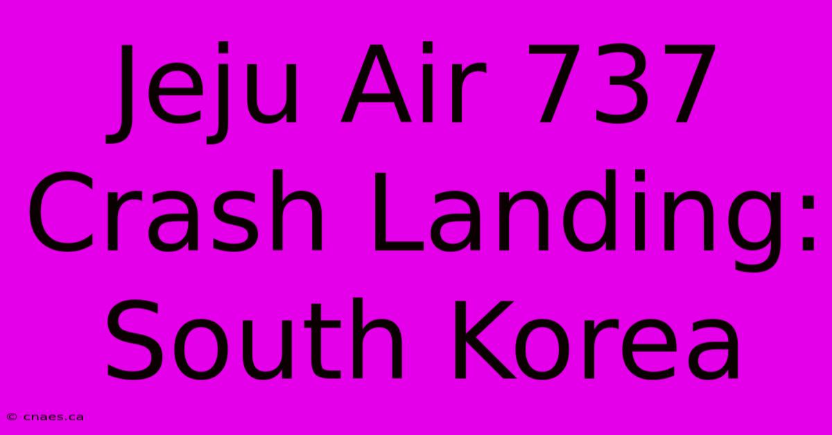 Jeju Air 737 Crash Landing: South Korea