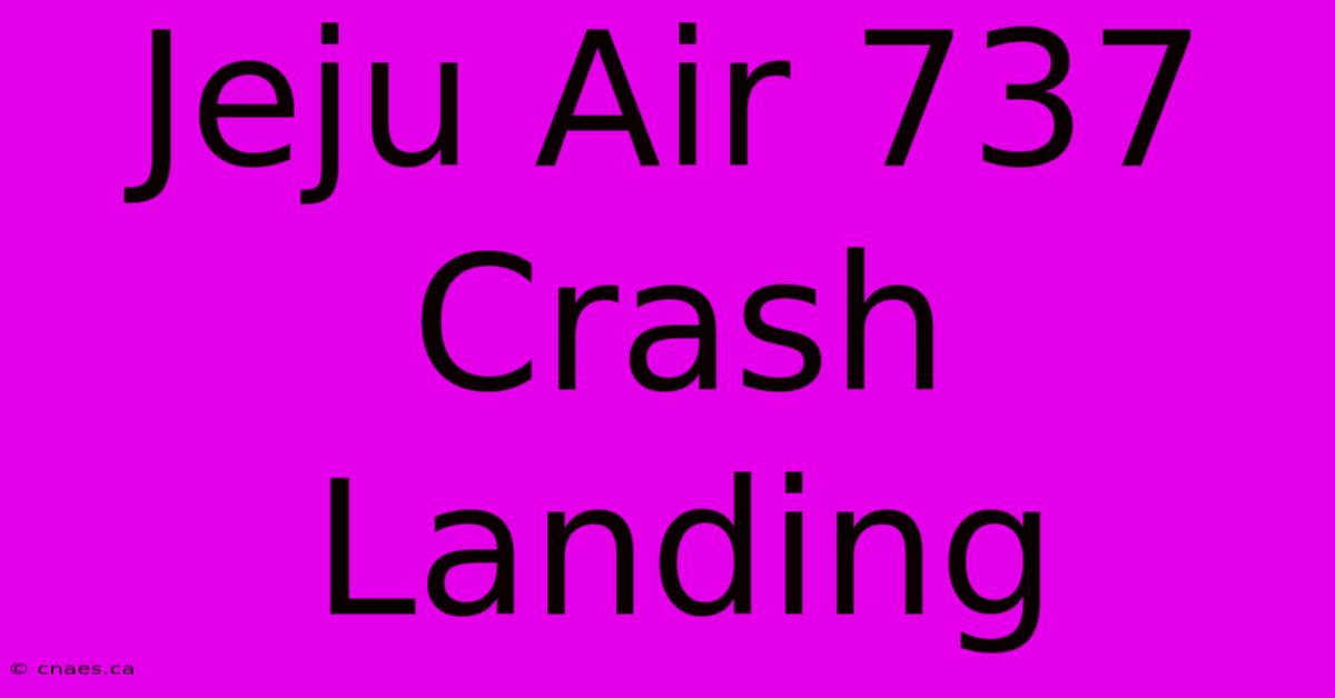 Jeju Air 737 Crash Landing