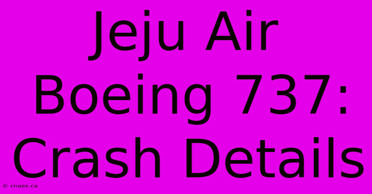 Jeju Air Boeing 737: Crash Details