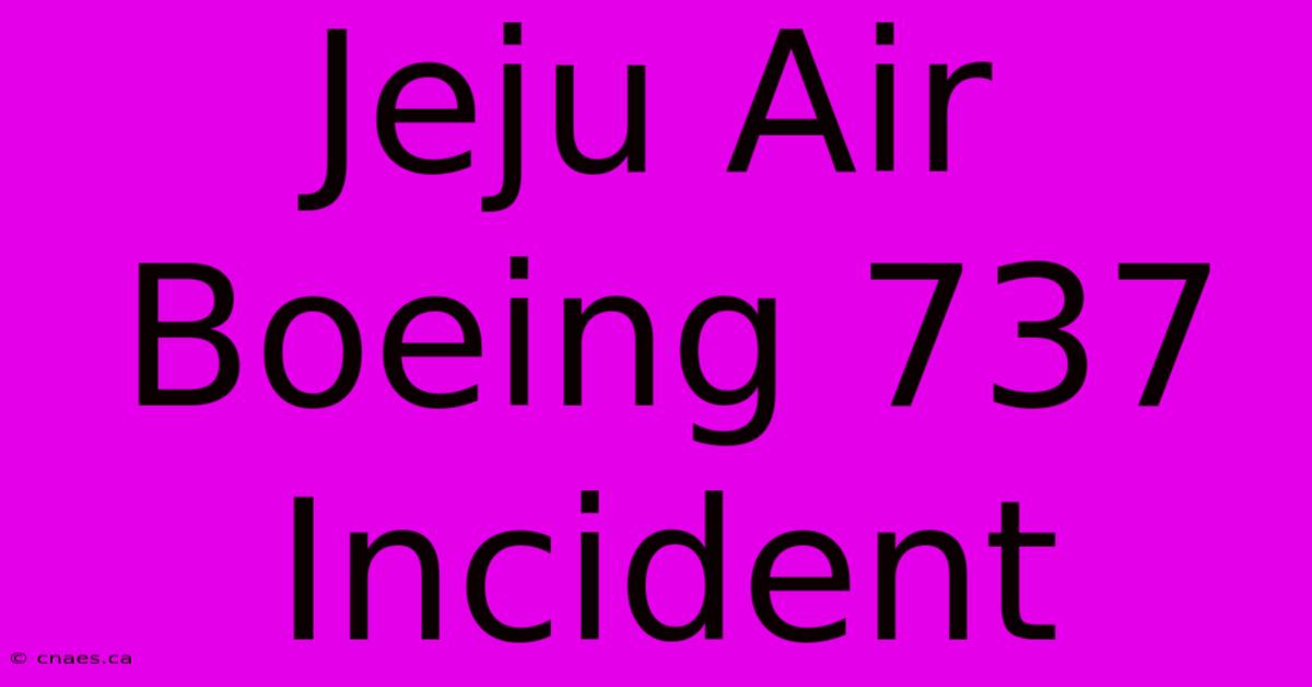 Jeju Air Boeing 737 Incident