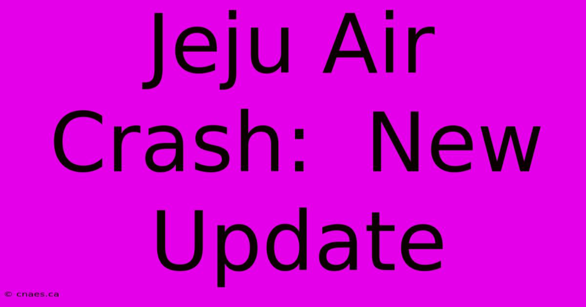 Jeju Air Crash:  New Update