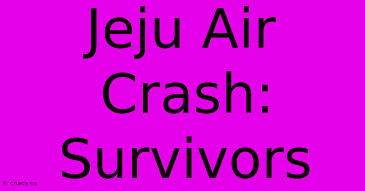 Jeju Air Crash: Survivors