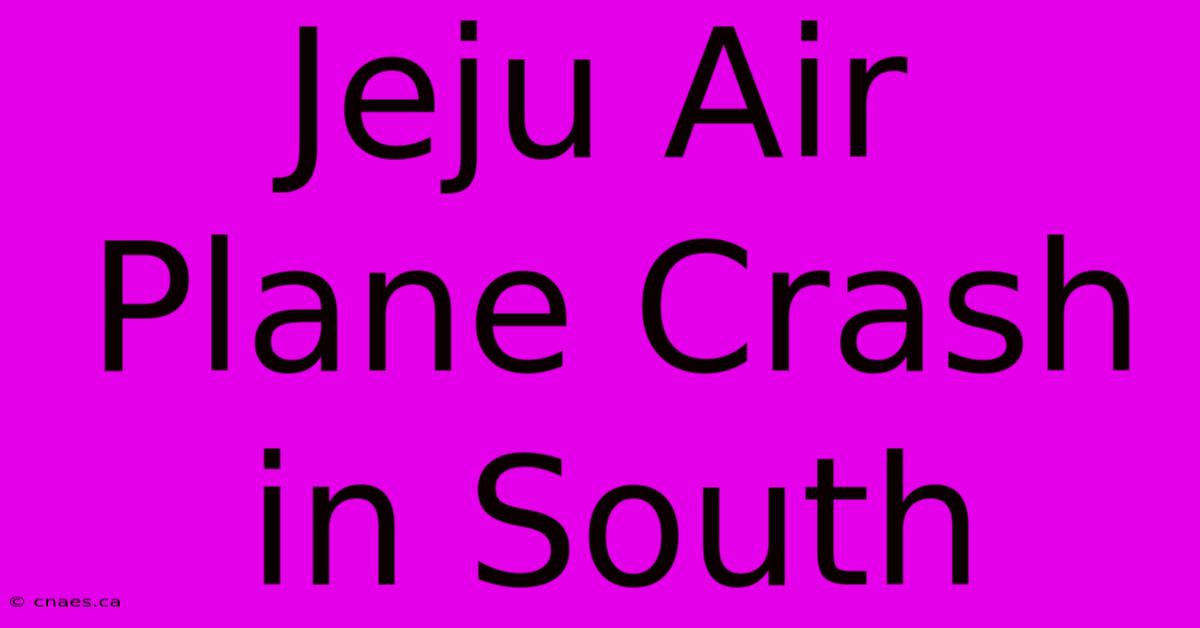 Jeju Air Plane Crash In South