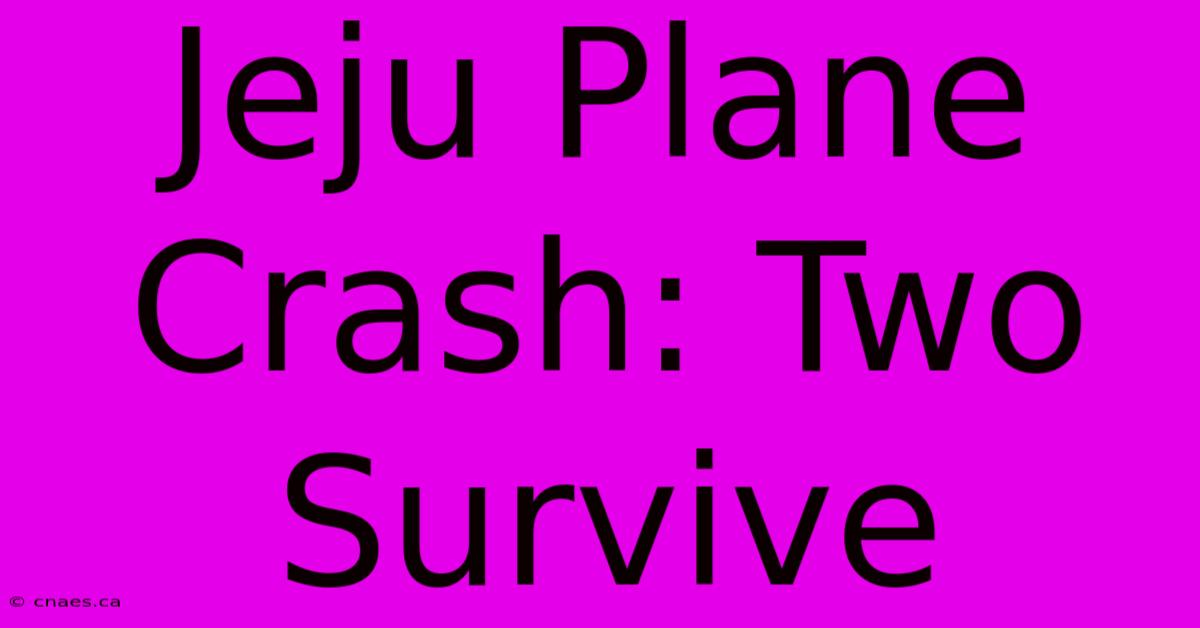 Jeju Plane Crash: Two Survive