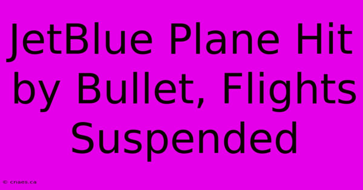 JetBlue Plane Hit By Bullet, Flights Suspended