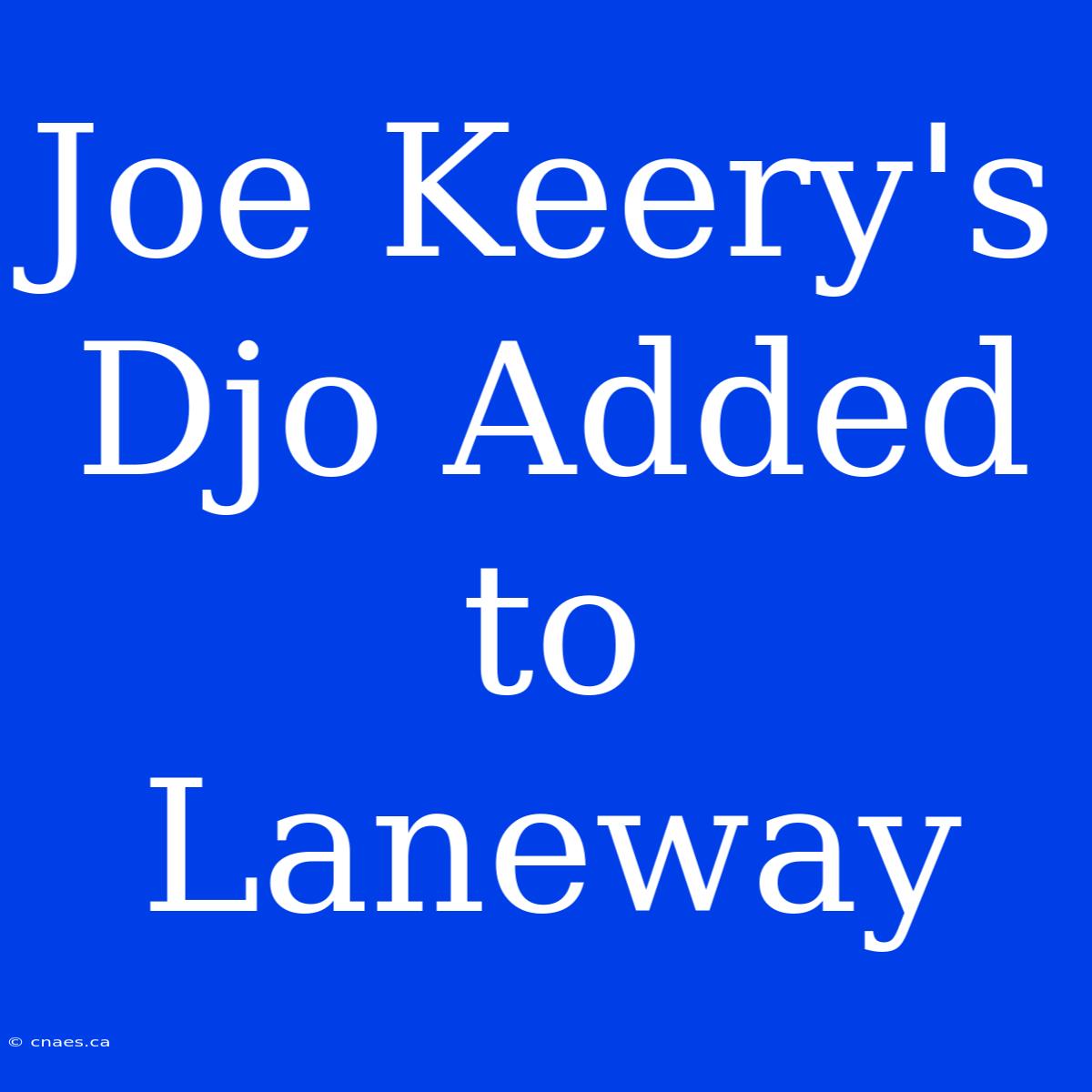 Joe Keery's Djo Added To Laneway