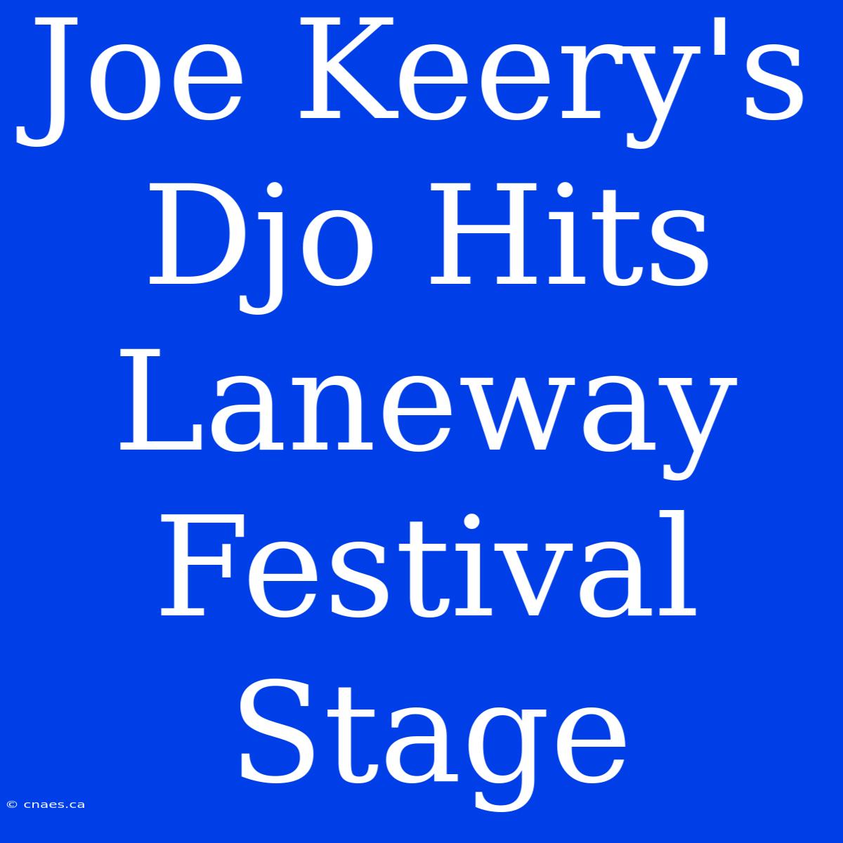 Joe Keery's Djo Hits Laneway Festival Stage