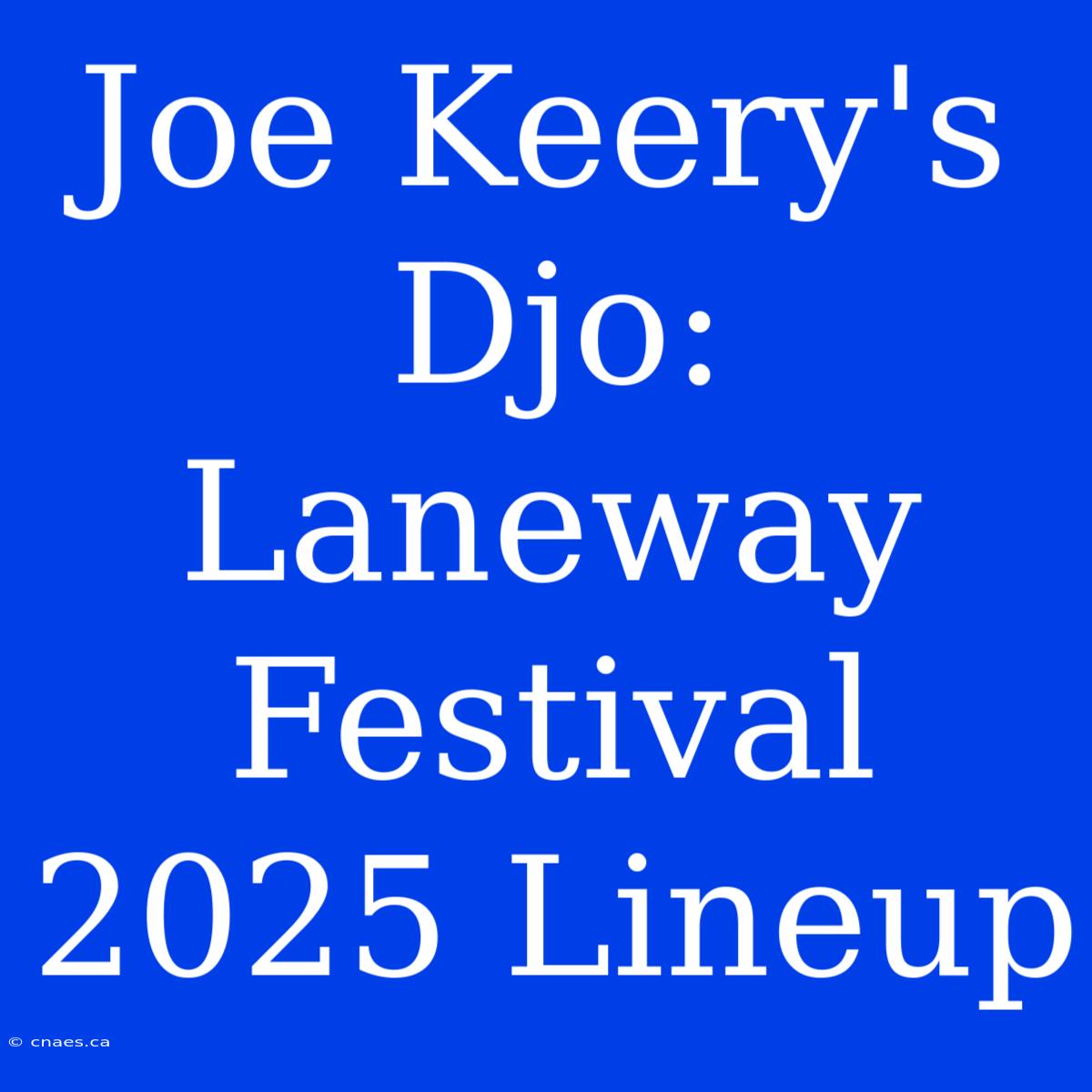 Joe Keery's Djo: Laneway Festival 2025 Lineup