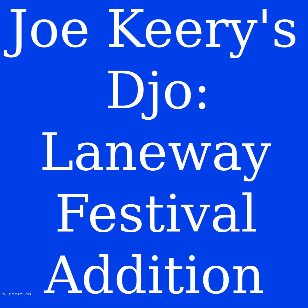 Joe Keery's Djo: Laneway Festival Addition