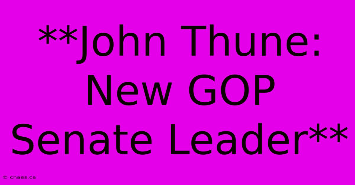 **John Thune: New GOP Senate Leader**