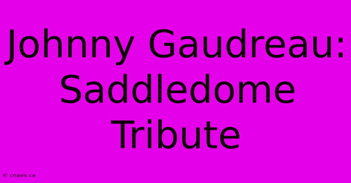 Johnny Gaudreau: Saddledome Tribute