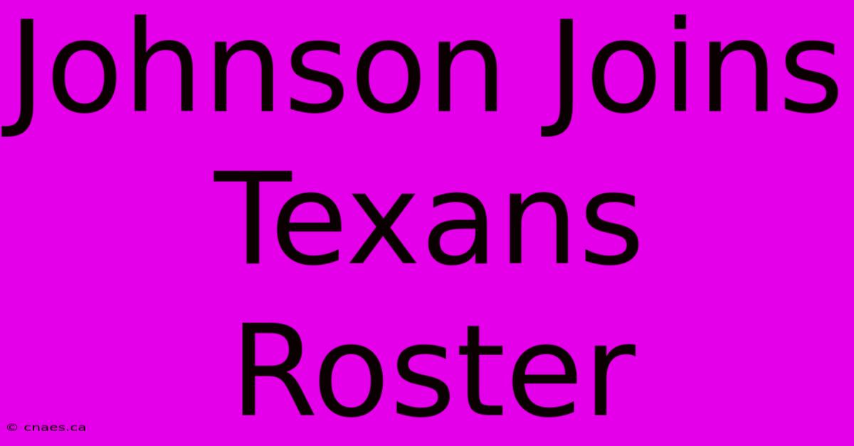 Johnson Joins Texans Roster