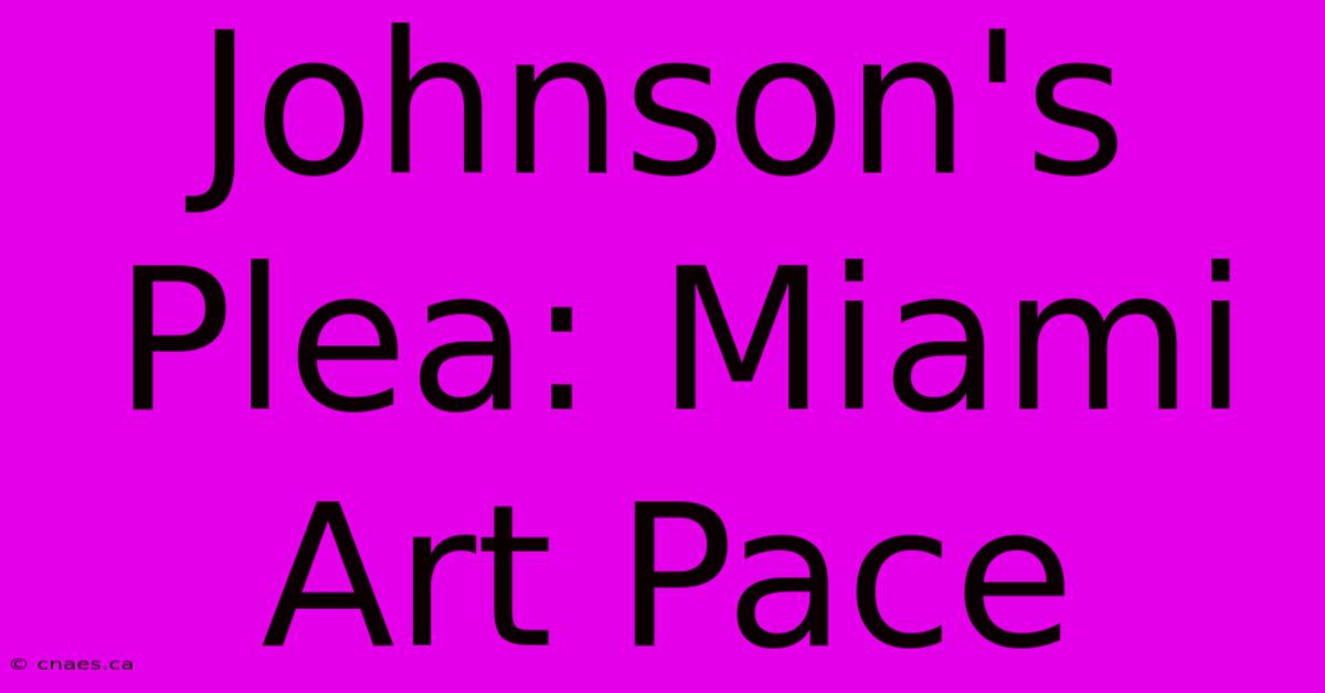 Johnson's Plea: Miami Art Pace