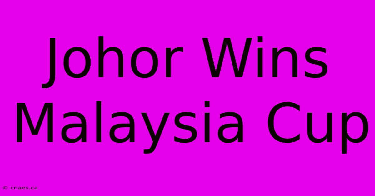 Johor Wins Malaysia Cup