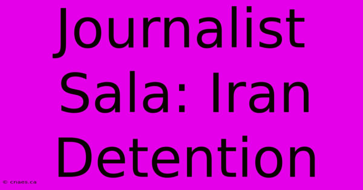 Journalist Sala: Iran Detention