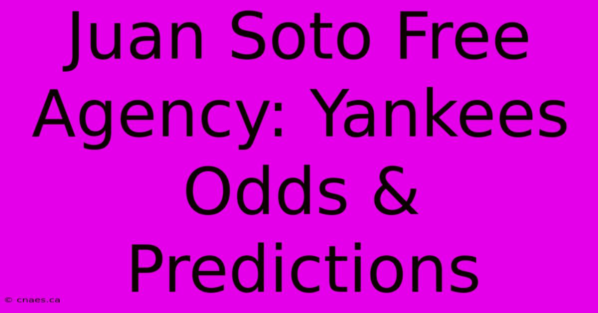 Juan Soto Free Agency: Yankees Odds & Predictions