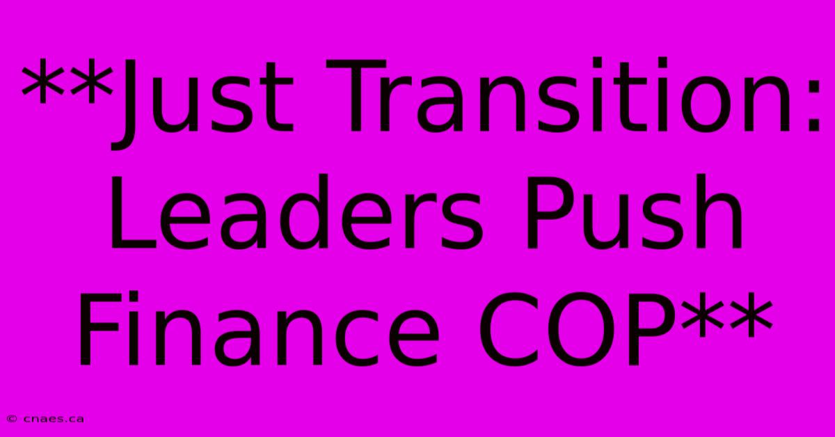 **Just Transition: Leaders Push Finance COP**