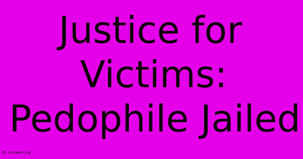 Justice For Victims: Pedophile Jailed