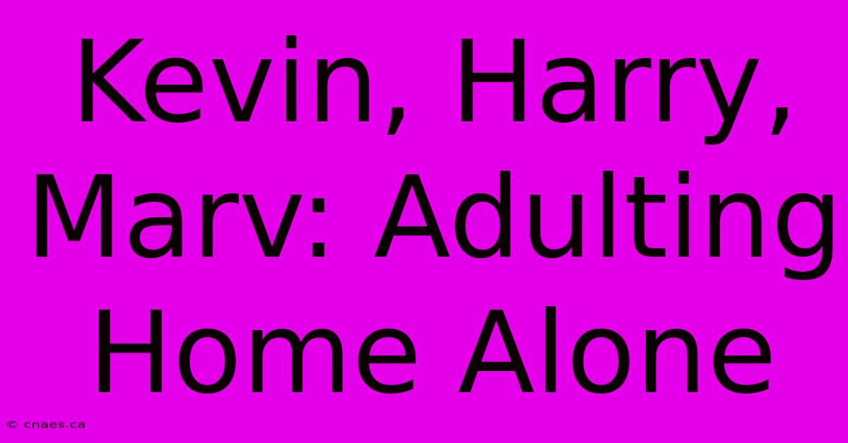 Kevin, Harry, Marv: Adulting Home Alone