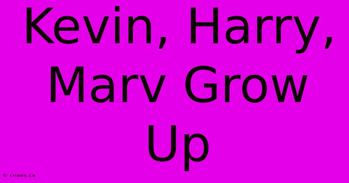 Kevin, Harry, Marv Grow Up