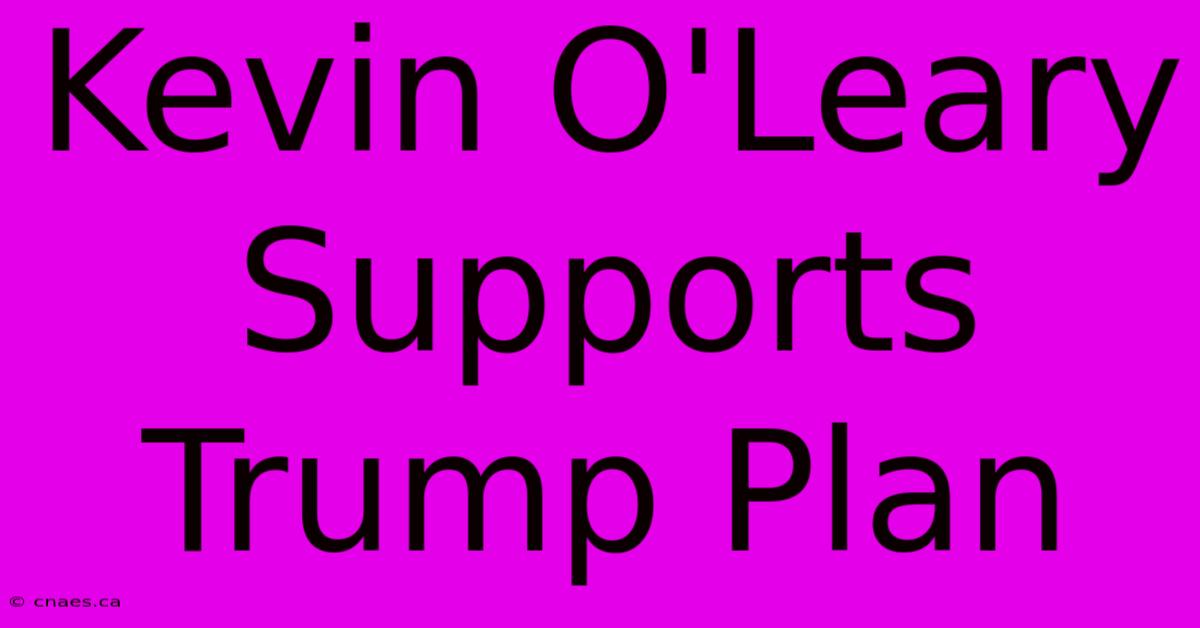 Kevin O'Leary Supports Trump Plan